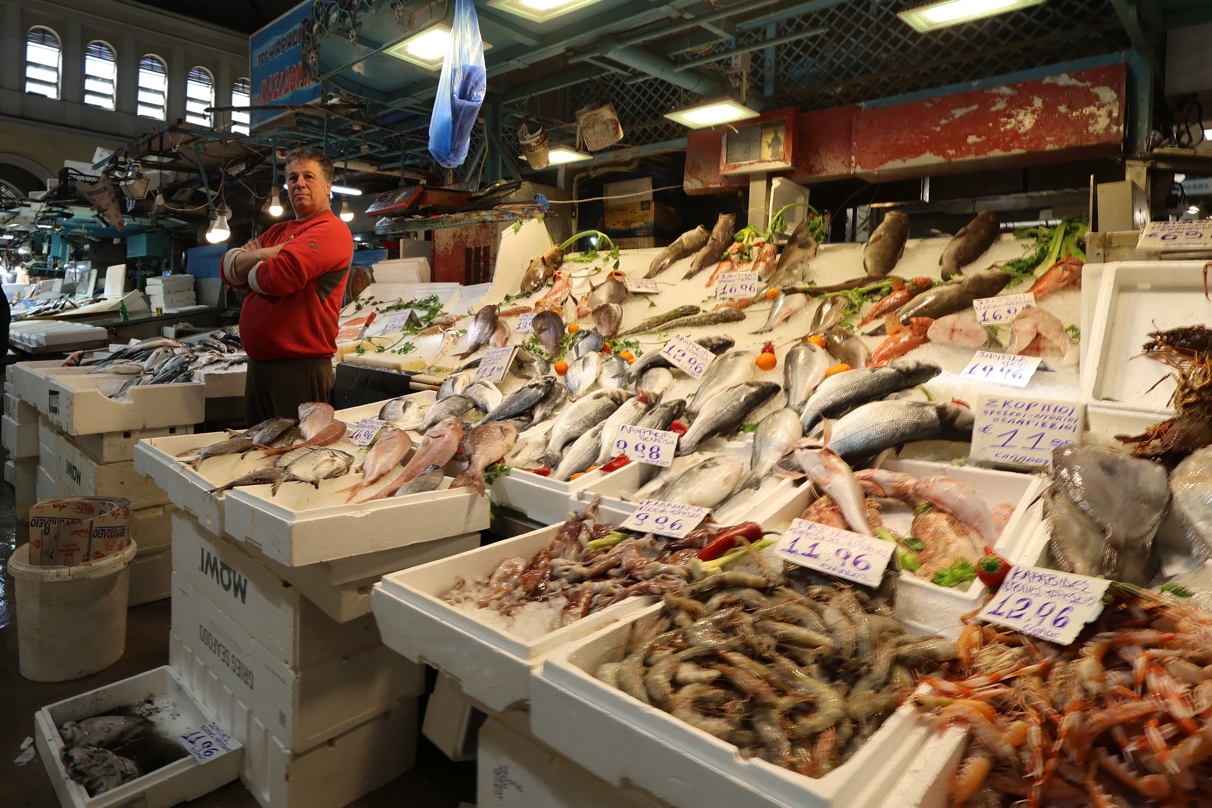 Fresh Fish Market Hall