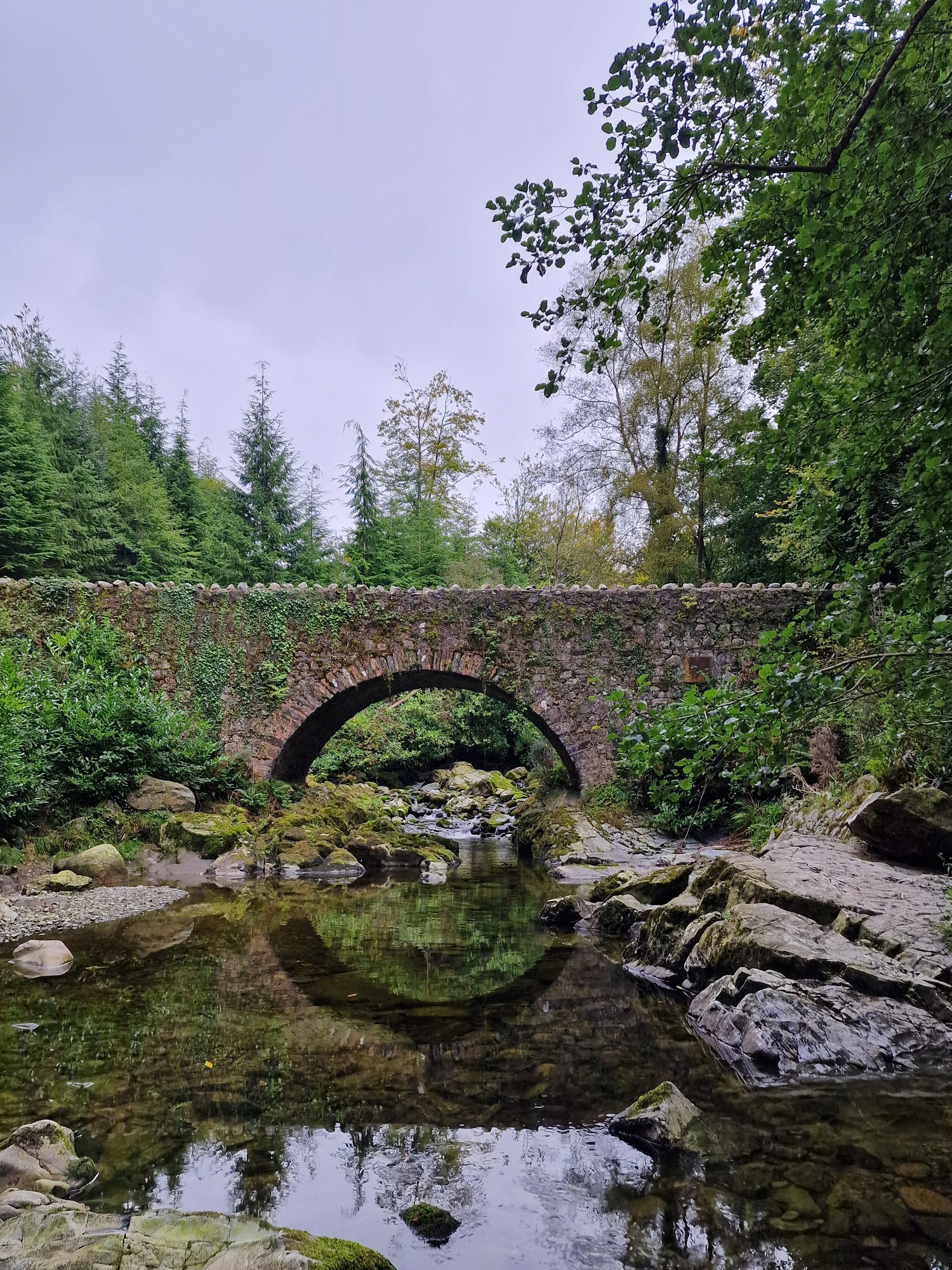 Parnells Bridge in Tollymore Forest Park